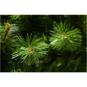 ТРМ-73515 ТРМ-73515