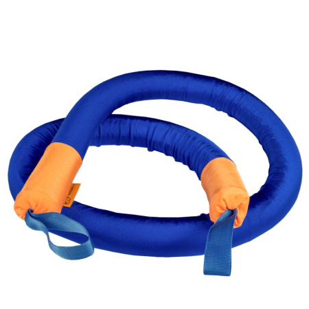 Сенсомоторная интеграция